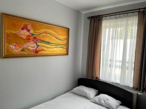 Irys 1 Tychy